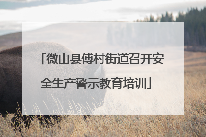 微山县傅村街道召开安全生产警示教育培训