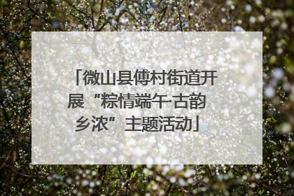 微山县傅村街道开展“粽情端午·古韵乡浓”主题活动