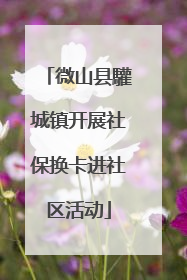 微山县驩城镇开展社保换卡进社区活动