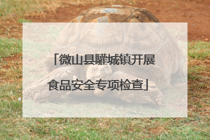 微山县驩城镇开展食品安全专项检查