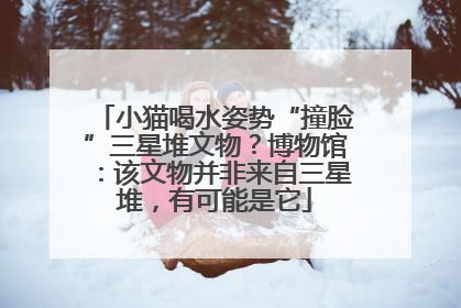 小猫喝水姿势“撞脸”三星堆文物？博物馆：该文物并非来自三星堆，有可能是它