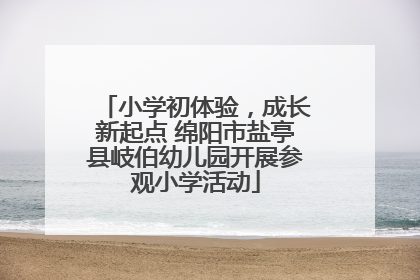 小学初体验，成长新起点 绵阳市盐亭县岐伯幼儿园开展参观小学活动
