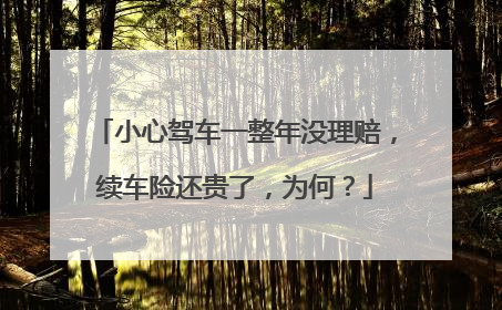 小心驾车一整年没理赔，续车险还贵了，为何？