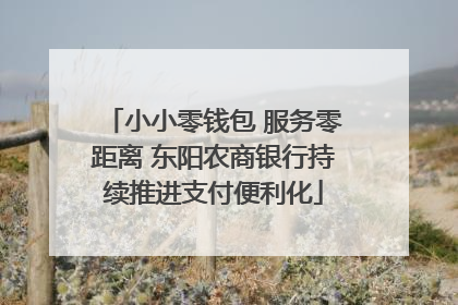 小小零钱包 服务零距离 东阳农商银行持续推进支付便利化