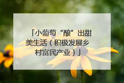 小葡萄“酿”出甜美生活（积极发展乡村富民产业）
