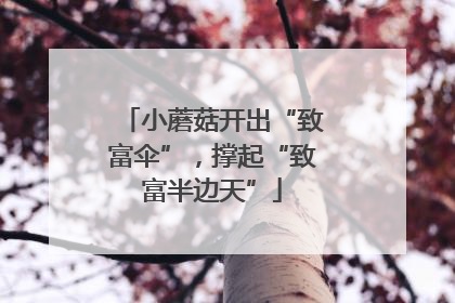 小蘑菇开出“致富伞”，撑起“致富半边天”