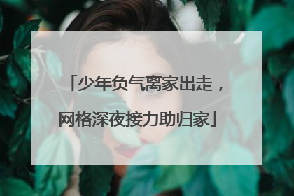 少年负气离家出走，网格深夜接力助归家