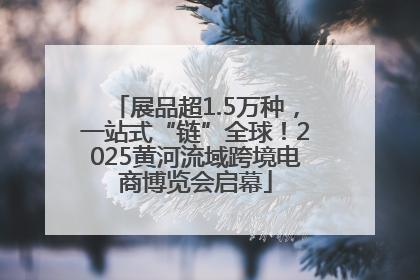展品超1.5万种，一站式“链”全球！2025黄河流域跨境电商博览会启幕