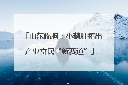 山东临朐：小鹅肝拓出产业富民“新赛道”