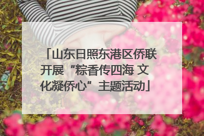 山东日照东港区侨联开展“粽香传四海 文化凝侨心”主题活动