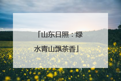 山东日照：绿水青山飘茶香