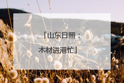 山东日照：木材进港忙