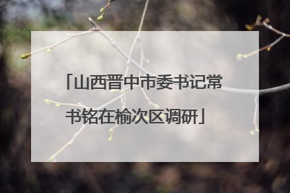 山西晋中市委书记常书铭在榆次区调研