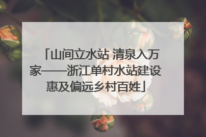 山间立水站 清泉入万家——浙江单村水站建设惠及偏远乡村百姓