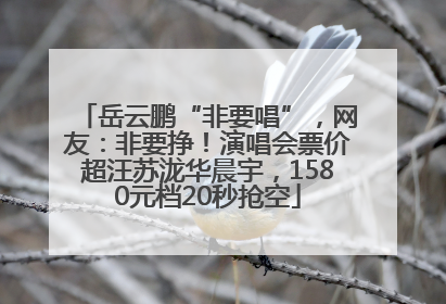 岳云鹏“非要唱”，网友：非要挣！演唱会票价超汪苏泷华晨宇，1580元档20秒抢空
