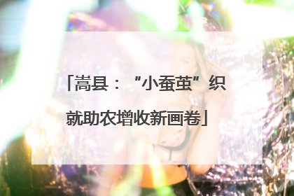 嵩县：“小蚕茧”织就助农增收新画卷