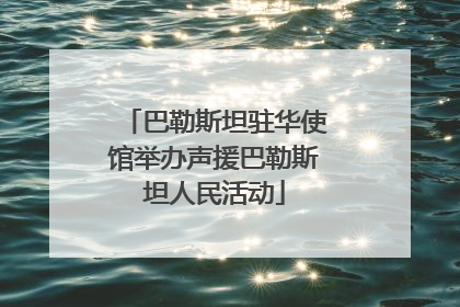 巴勒斯坦驻华使馆举办声援巴勒斯坦人民活动