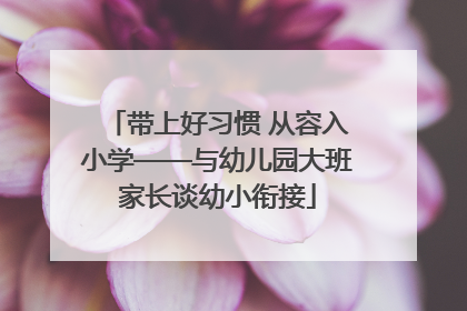 带上好习惯 从容入小学——与幼儿园大班家长谈幼小衔接