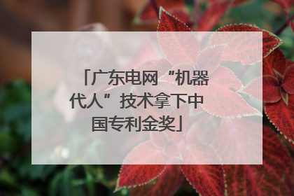 广东电网“机器代人”技术拿下中国专利金奖
