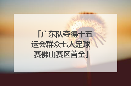广东队夺得十五运会群众七人足球赛佛山赛区首金