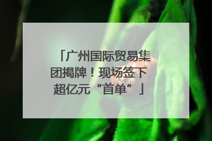 广州国际贸易集团揭牌！现场签下超亿元“首单”