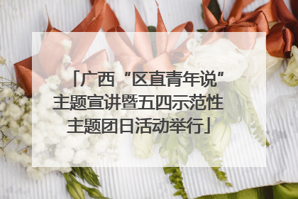 广西“区直青年说”主题宣讲暨五四示范性主题团日活动举行