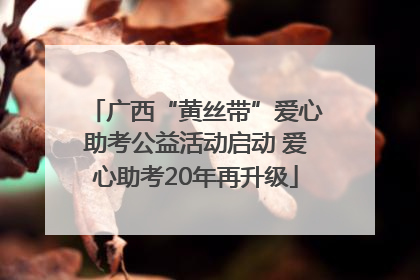 广西“黄丝带”爱心助考公益活动启动 爱心助考20年再升级