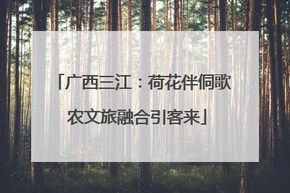 广西三江：荷花伴侗歌 农文旅融合引客来