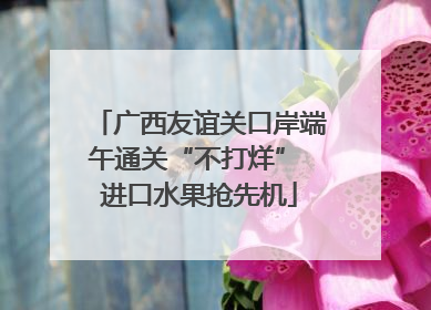 广西友谊关口岸端午通关“不打烊” 进口水果抢先机