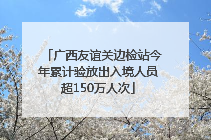 广西友谊关边检站今年累计验放出入境人员超150万人次