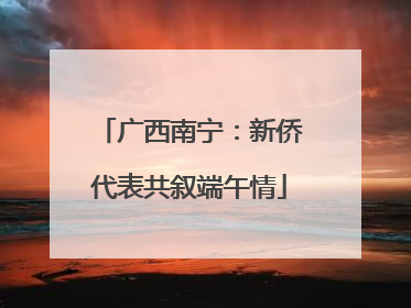 广西南宁：新侨代表共叙端午情