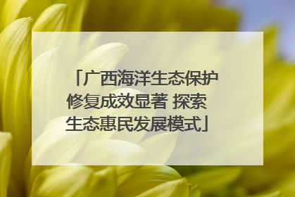 广西海洋生态保护修复成效显著 探索生态惠民发展模式