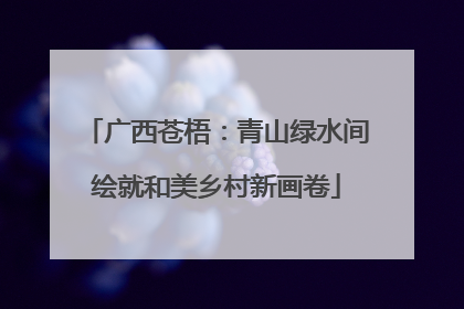 广西苍梧：青山绿水间绘就和美乡村新画卷