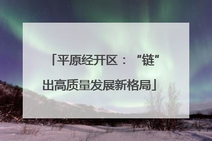 平原经开区：“链”出高质量发展新格局