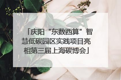 庆阳“东数西算”智慧低碳园区实践项目亮相第三届上海碳博会
