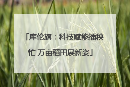 库伦旗：科技赋能插秧忙 万亩稻田展新姿