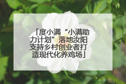 度小满“小满助力计划”落地汝阳支持乡村创业者打造现代化养鸡场