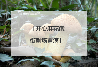开心麻花俄街剧场首演