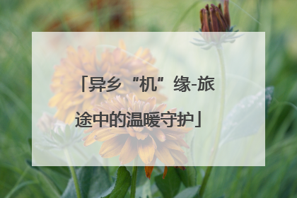 异乡“机”缘-旅途中的温暖守护