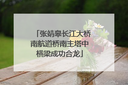 张靖皋长江大桥南航道桥南主塔中横梁成功合龙