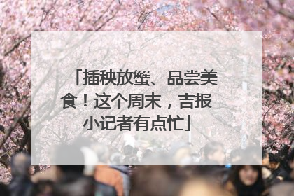 插秧放蟹、品尝美食！这个周末，吉报小记者有点忙