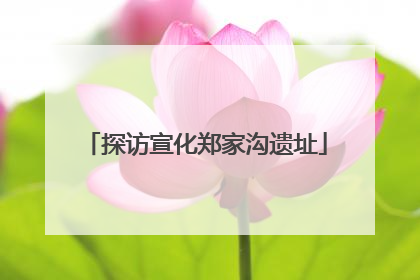探访宣化郑家沟遗址
