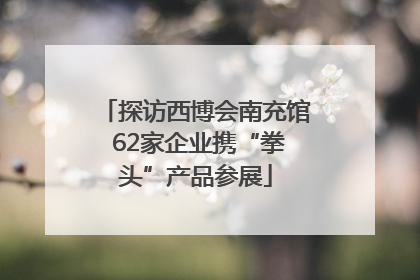 探访西博会南充馆 62家企业携“拳头”产品参展