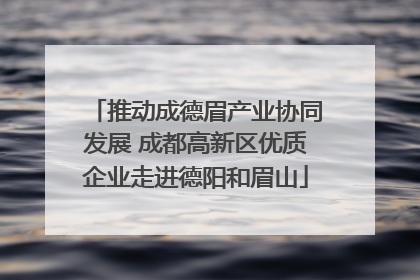 推动成德眉产业协同发展 成都高新区优质企业走进德阳和眉山