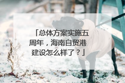 总体方案实施五周年，海南自贸港建设怎么样了？