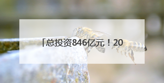 总投资846亿元！2025河南·长三角地区产业转移合作对接活动举行