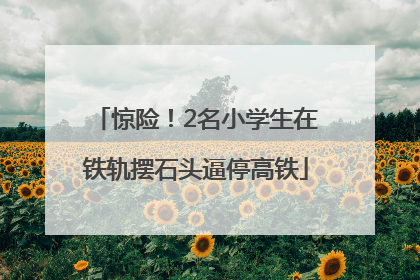 惊险！2名小学生在铁轨摆石头逼停高铁