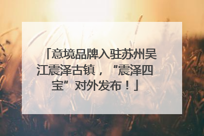 意境品牌入驻苏州吴江震泽古镇，“震泽四宝”对外发布！