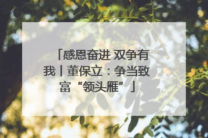 感恩奋进 双争有我丨董保立：争当致富“领头雁”