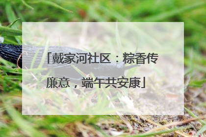 戴家河社区：粽香传廉意，端午共安康